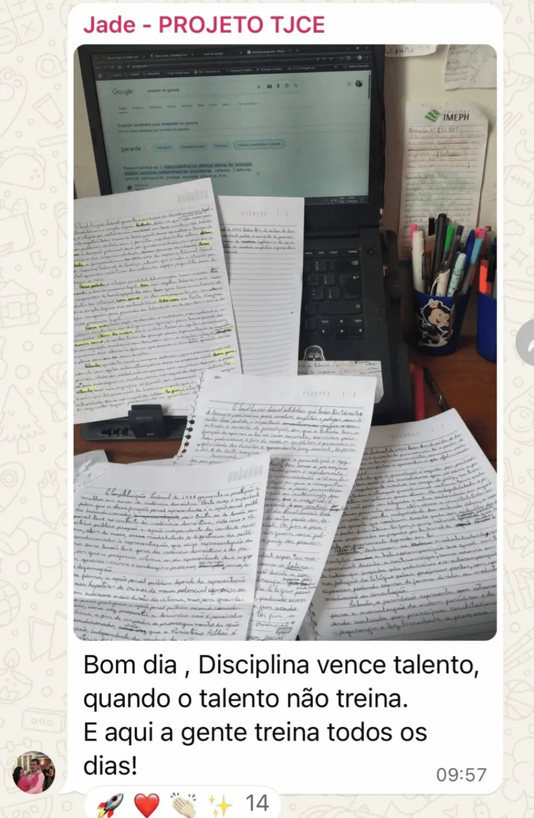 Print de conversa 6